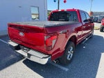 2024 F-150 Thumbnail 8