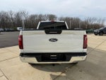 2024 F-150 Thumbnail 6