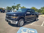 2024 F-150 Thumbnail 7