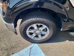 2024 F-150 Thumbnail 9