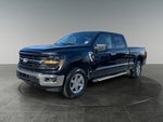 2024 F-150 Thumbnail 4