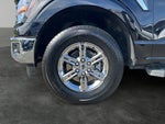 2024 F-150 Thumbnail 5