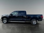 2024 F-150 Thumbnail 6