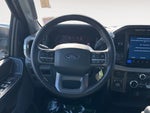 2024 F-150 Thumbnail 14