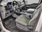 2024 F-150 Thumbnail 10