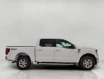 2024 F-150 Thumbnail 12