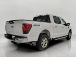 2024 F-150 Thumbnail 20