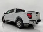2024 F-150 Thumbnail 21