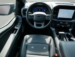 2025 F-150 Thumbnail 13