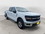 2025 F-150 Thumbnail 3