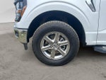 2025 F-150 Thumbnail 10