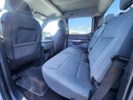 2025 F-150 Thumbnail 13