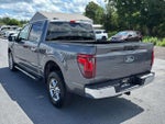 2025 F-150 Thumbnail 5