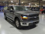 2025 F-150 Thumbnail 5