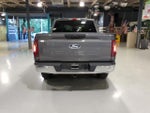 2025 F-150 Thumbnail 9