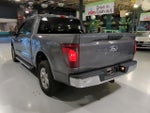 2025 F-150 Thumbnail 10