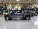 2025 F-150 Thumbnail 11