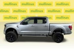 2025 F-150 Thumbnail 12