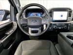 2025 F-150 Thumbnail 14