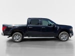 2025 F-150 Thumbnail 2