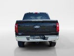 2025 F-150 Thumbnail 4
