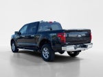 2025 F-150 Thumbnail 5