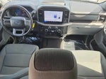 2025 F-150 Thumbnail 10