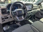 2025 F-150 Thumbnail 17