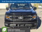 2026 F-150 Thumbnail 8