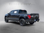 2026 F-150 Thumbnail 13