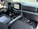 2026 F-150 Thumbnail 31