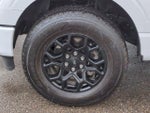 2024 F-150 Thumbnail 13