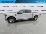 2024 F-150 Thumbnail 7
