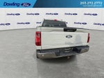 2024 F-150 Thumbnail 9