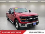 2024 F-150 Thumbnail 3