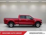 2024 F-150 Thumbnail 4