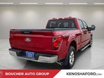 2024 F-150 Thumbnail 5