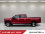 2024 F-150 Thumbnail 6