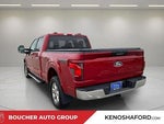 2024 F-150 Thumbnail 7