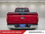 2024 F-150 Thumbnail 8