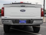 2024 F-150 Thumbnail 14