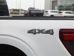 2024 F-150 Thumbnail 18