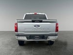 2024 F-150 Thumbnail 6