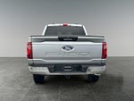 2024 F-150 Thumbnail 7