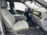 2024 F-150 Thumbnail 11
