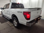 2024 F-150 Thumbnail 3