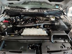 2024 F-150 Thumbnail 9