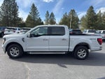 2024 F-150 Thumbnail 12