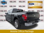2024 F-150 Thumbnail 6