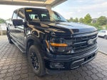 2024 F-150 Thumbnail 4